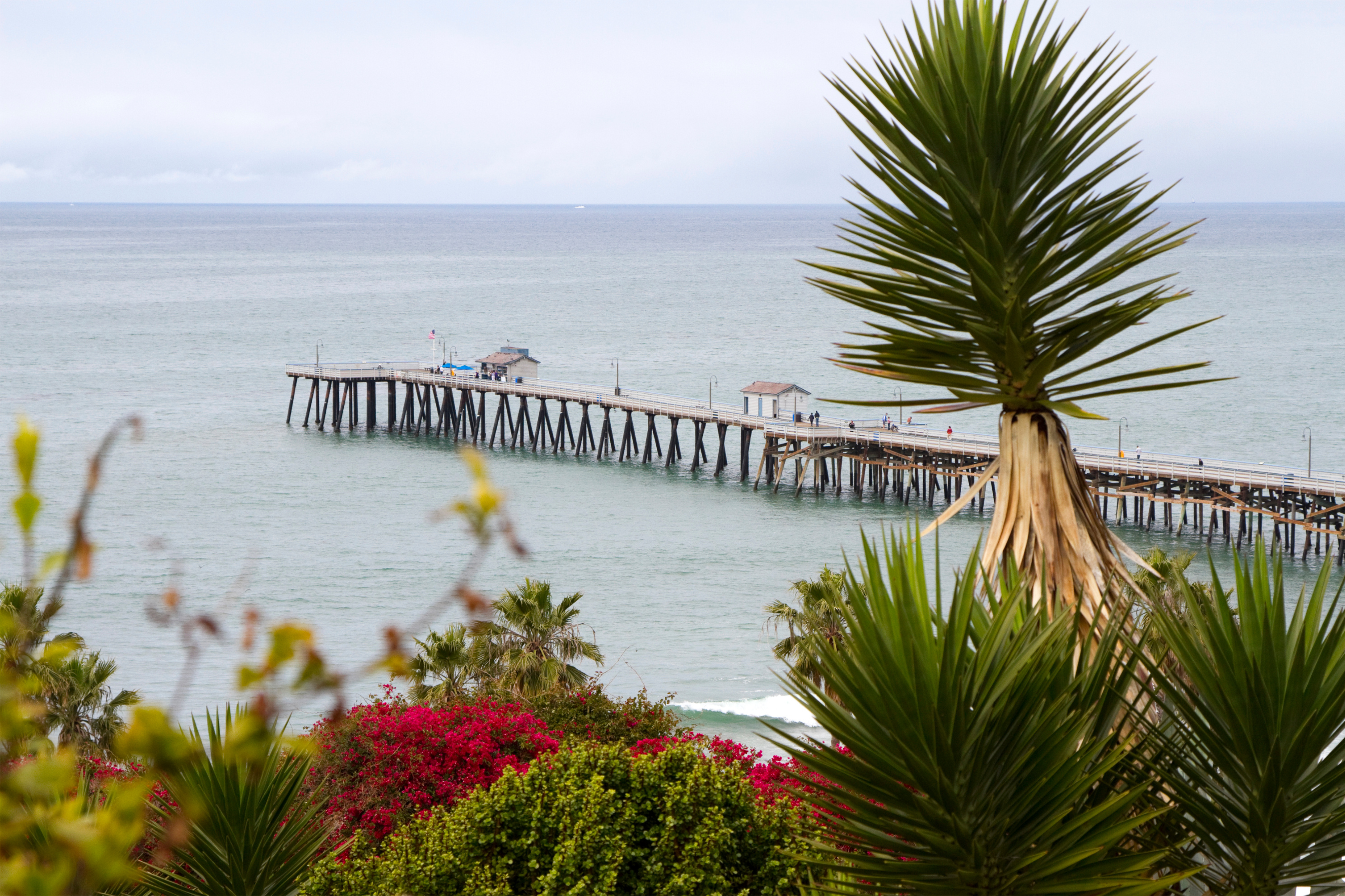 A pier with palm trees and water in the background.